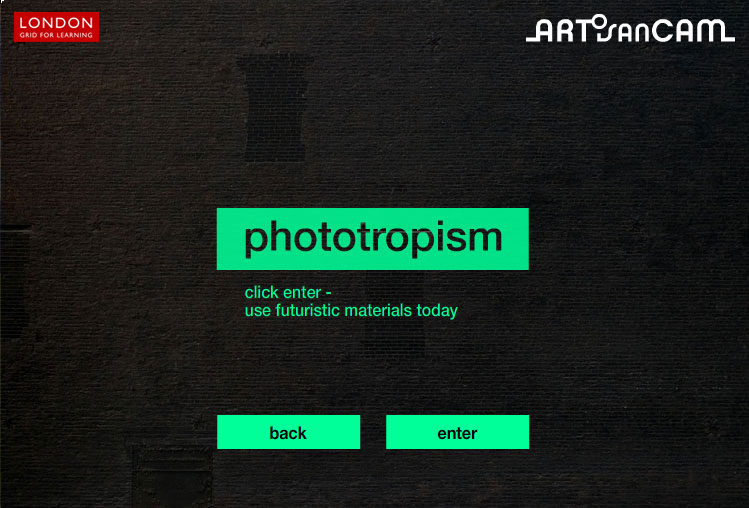 phototropism