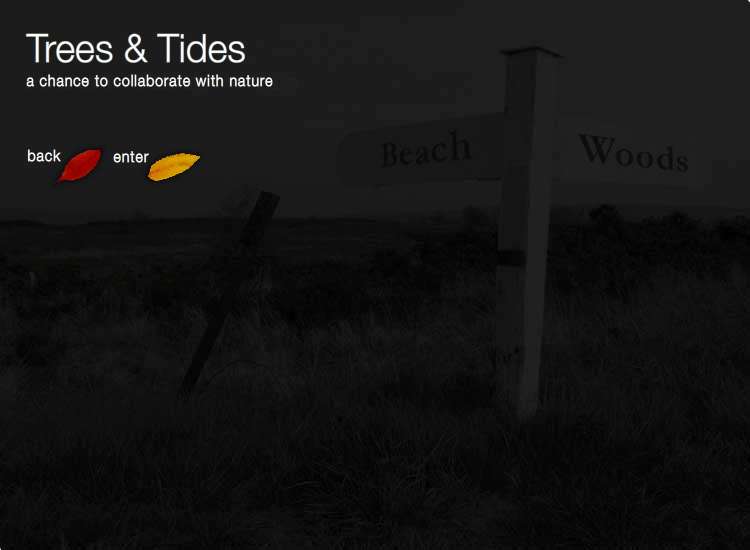 trees and tides