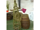 sweet pea climber and 