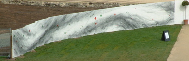 picture6