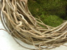 picture15