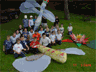 dragonflies